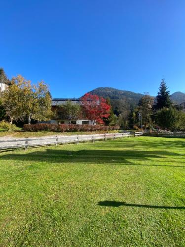 FeWo Sonnenschein FeWo Sonnenschein