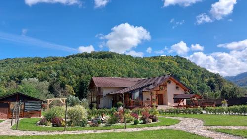 Pensiunea Romosan in Orastie