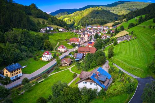 Steepleview House, Schwarzwaldblick Apartment - spacious & peaceful