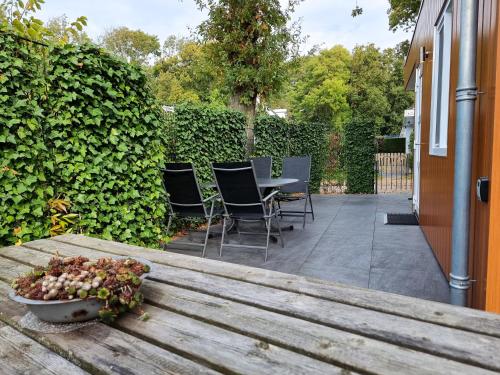 Garden, Vakantiewoning t'Hoekje Zoutelande ZO04 in Zoutelande