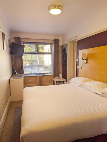 Hotel Celebrity - image 14