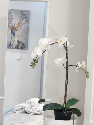 Apartamento Paula