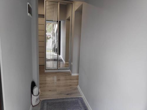 Чотири стихії (Чотири стихіі) in 米茲希利亞