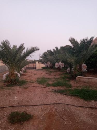Rimal Villas فلل الرمال in Jericho