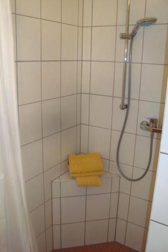 Alttolkewitzer Ferien- & Privatzimmer Mrosk Dresden