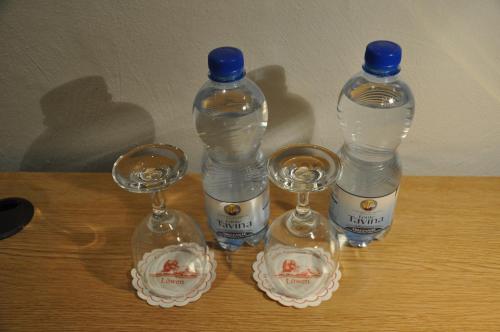 Hotel Löwen - image 13