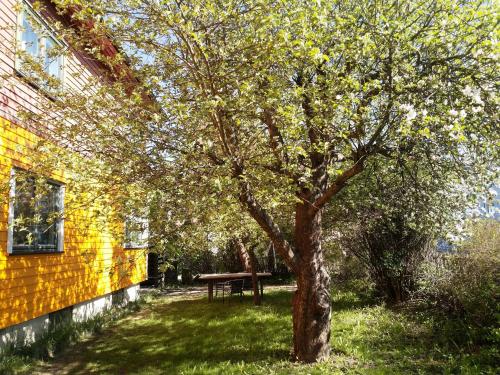 Jardín, Newly Renovated 2 Bedrooms Furnished Apartment - close to everything in Moss in Moss