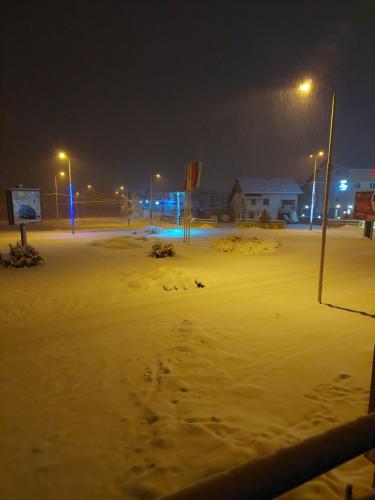 Vila Gajović (Vila Gajovic) in Pale