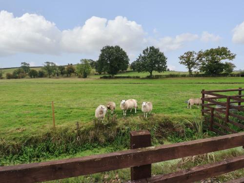 The Pod at Bank House Farm