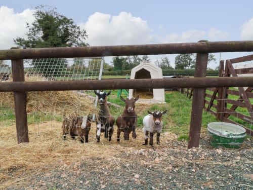 The Pod at Bank House Farm