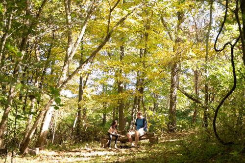 Biker Hiker friendly 3 bedroom by Strouds Run State Park Biker Hiker friendly 3 bedroom by Strouds Run State Park