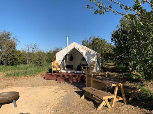 Tentrr - Lagier Ranches Camp - image 13