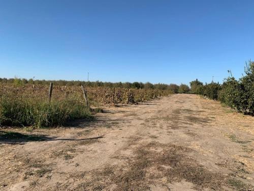 Tentrr - Lagier Ranches Camp - image 14