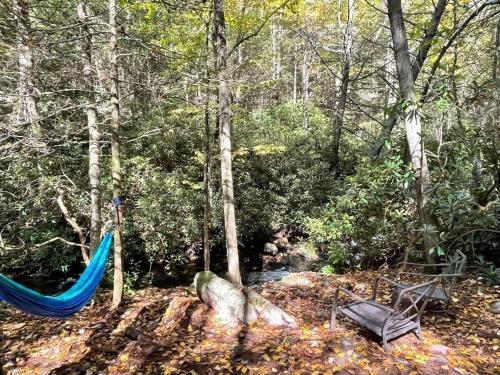 Tentrr - Retreat on Bear Creek - image 6