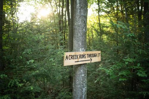 Tentrr - A Creek Runs Through It - image 11