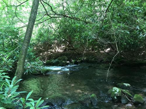Tentrr Signature - Bear Creek Falls Getaway - image 10