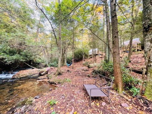 Tentrr Signature - Bear Creek Falls Getaway - image 6