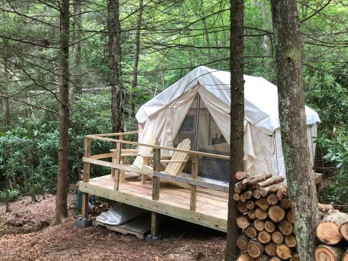 Tentrr Signature - Bear Creek Falls Getaway - image 10