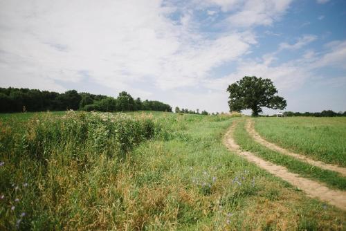 Tentrr - Camp Coal Tree - image 8