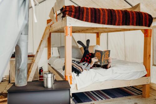 Tentrr - Camp Coal Tree - image 11