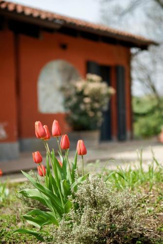 Le Serre Suites & Apartments - image 3