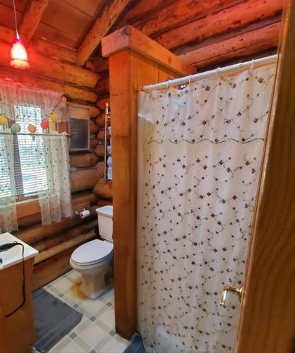1913 LOVE SHACK BETHEL WHITE LAKE NY in White Lake, USA