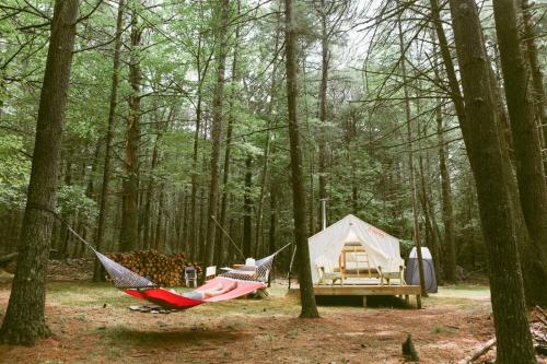 Tentrr â Highwoods - image 11