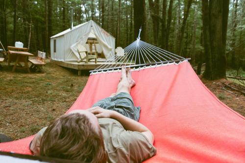Tentrr â Highwoods - image 6