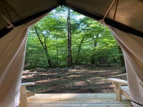 Tentrr Signature Site - Highwoods two - image 10