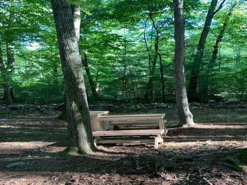 Tentrr Signature Site - Highwoods two - image 9