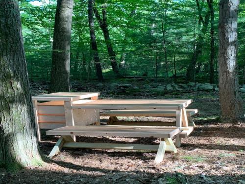 Tentrr Signature Site - Highwoods two - image 11