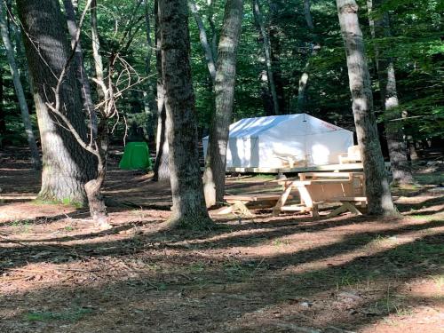 Tentrr Signature Site - Highwoods two - image 14