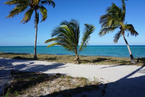 Kilwa Beach Lodge