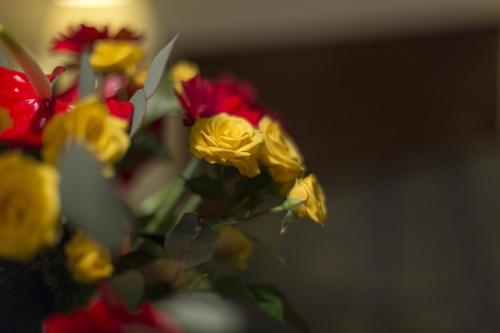 B&B Le Marie - image 12