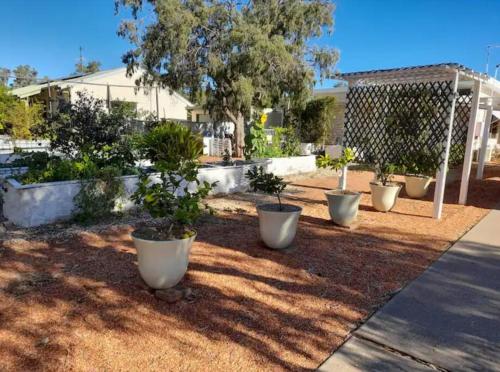 Lavender Cottage - At home in Lightning Ridge