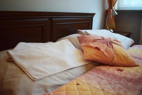 Hotel Skaut