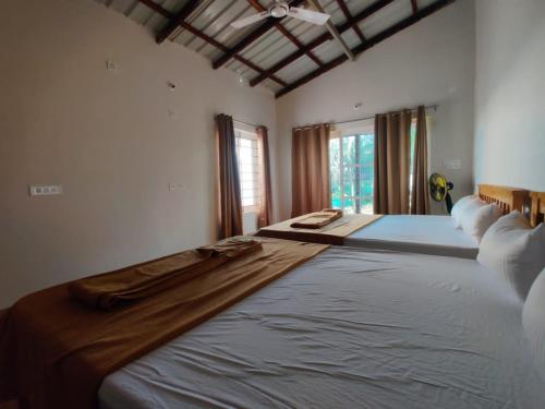 Trippr Gokarna - Beach Hostel in Gokarna