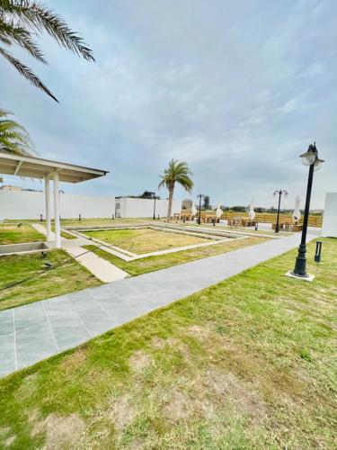 如荷自在 如荷自在