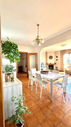  Beatrice Apartment Crocello in 54038 Montignoso