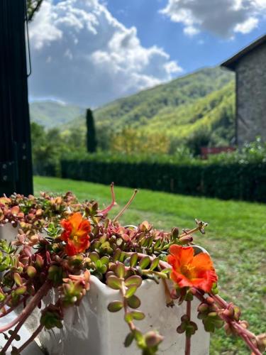  La Casina del Bassotto in Bagni di Lucca