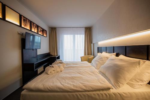 Wellness Hotel Frymburk - image 3