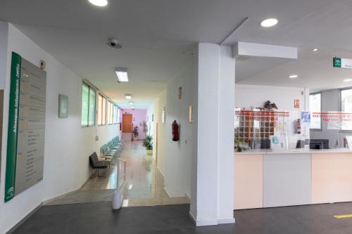 Albergue Inturjoven Jerez De La Frontera - image 6