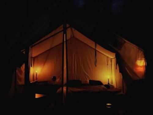 Tentrr - The Magic Glamp - image 2