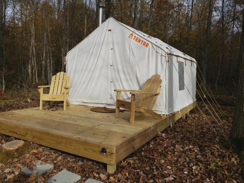 Tentrr - The Magic Glamp - image 6