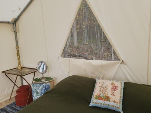 Tentrr - The Magic Glamp - image 6