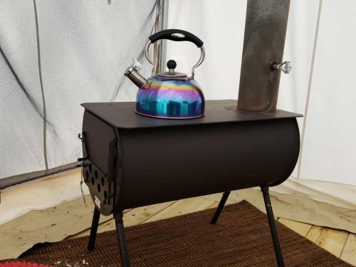 Tentrr - The Magic Glamp - image 9