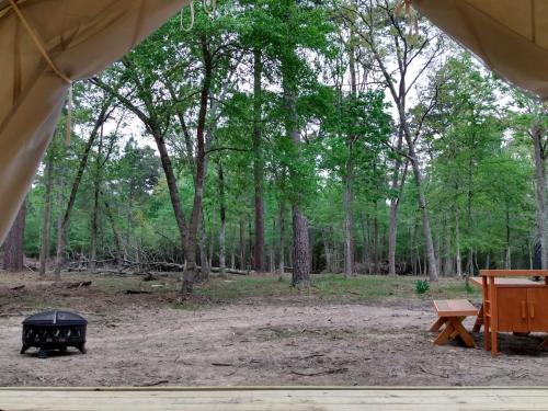 Tentrr Signature Site - Hidden Forest - image 5