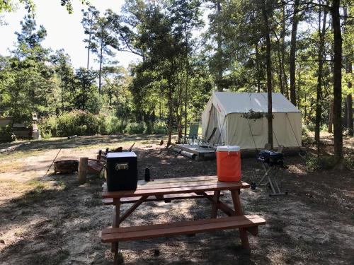Tentrr Signature Site - Hidden Forest - image 10