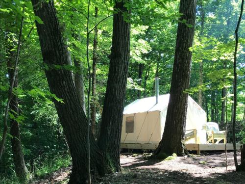 . Tentrr - A Riverwalk