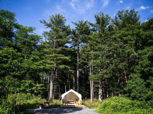 Tentrr - Abandoned Zoo Mountain View Maze - image 2